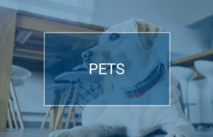 Pets | Waites Cash and Carry