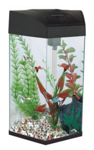 FRF-555G HEXAGONAL TANK 21.6L GRAPHITE