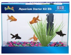 GLASS 20L STARTER TANK