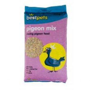 BUCKTONS PIGEON CONDITIONER