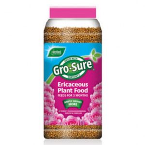 GRO-SURE ERICACEOUS PLANT FOOD 900G