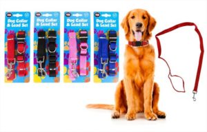 DOG LEAD+COLLAR SET (4/COLS)