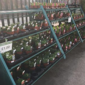 Gardening Products