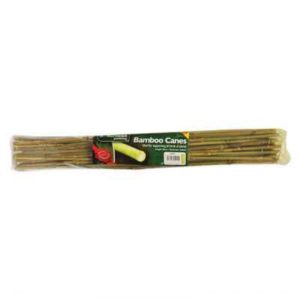 60MM BAMBOO CANES