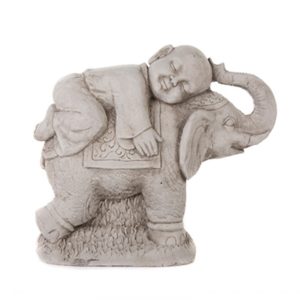 BOY ON ELEPHANT