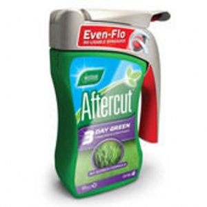 AFTERCUT 3 DAY GREEN LARGE