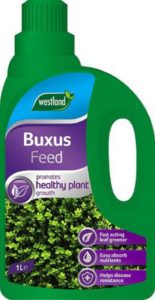 BUXUS FEED 1L