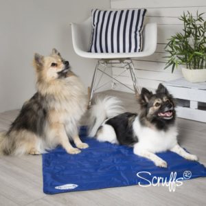 SCRUFFS COOLING MAT MEDIUM 50X40CM