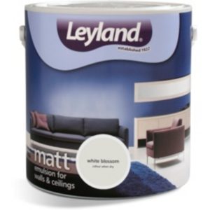 LEYLAND MATT 2.5 LITRES BLACK