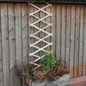 GARDEN TRELLIS 6FT X 1FT TRELIS1