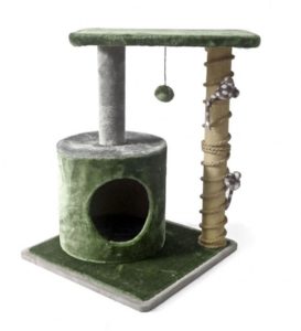 CAT POST PLAY ZONE