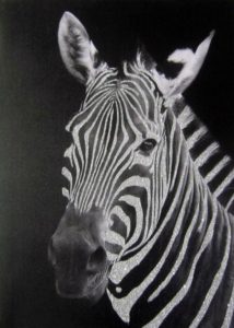 ZEBRA CANVAS