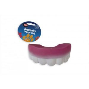 VINYL TEETH DOG TOY