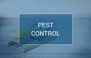 PEST-CONTROL