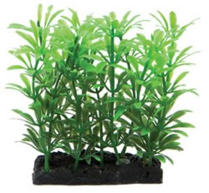 4 INCH GREEN PLANT & BASE