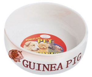 GUINEA PIG BOWL