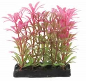4 INCH PINK/GREEN PLANT & BASE