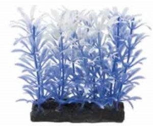 4 INCH BLUE/WHITE PLANT & BASE