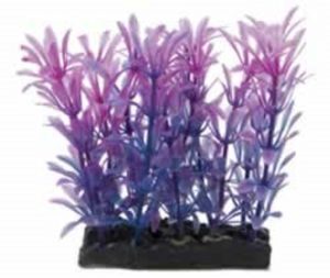 4 INCH PURPLE/BLUE PLANT & BASE